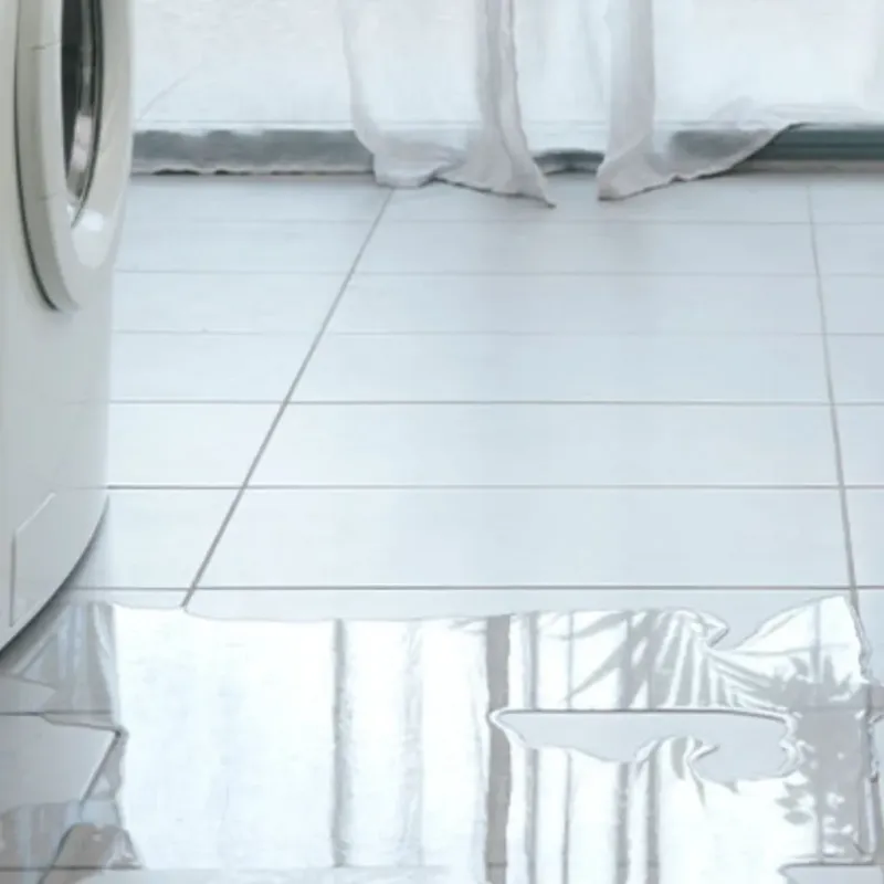Appliance Leak Cleanup in Anne Arundel County, MD