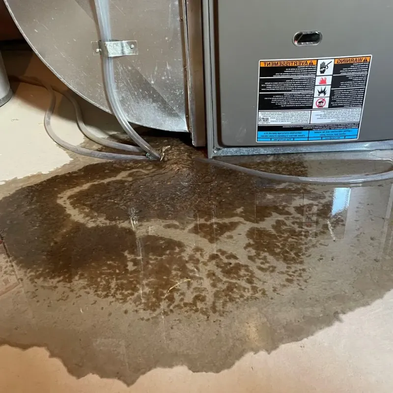 Pipe Burst and Leak Restoration in Anne Arundel County, MD